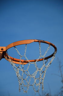 熊猫体育网址-NBA球员体能训练计划设计与效果评估，nba球员的体能训练
