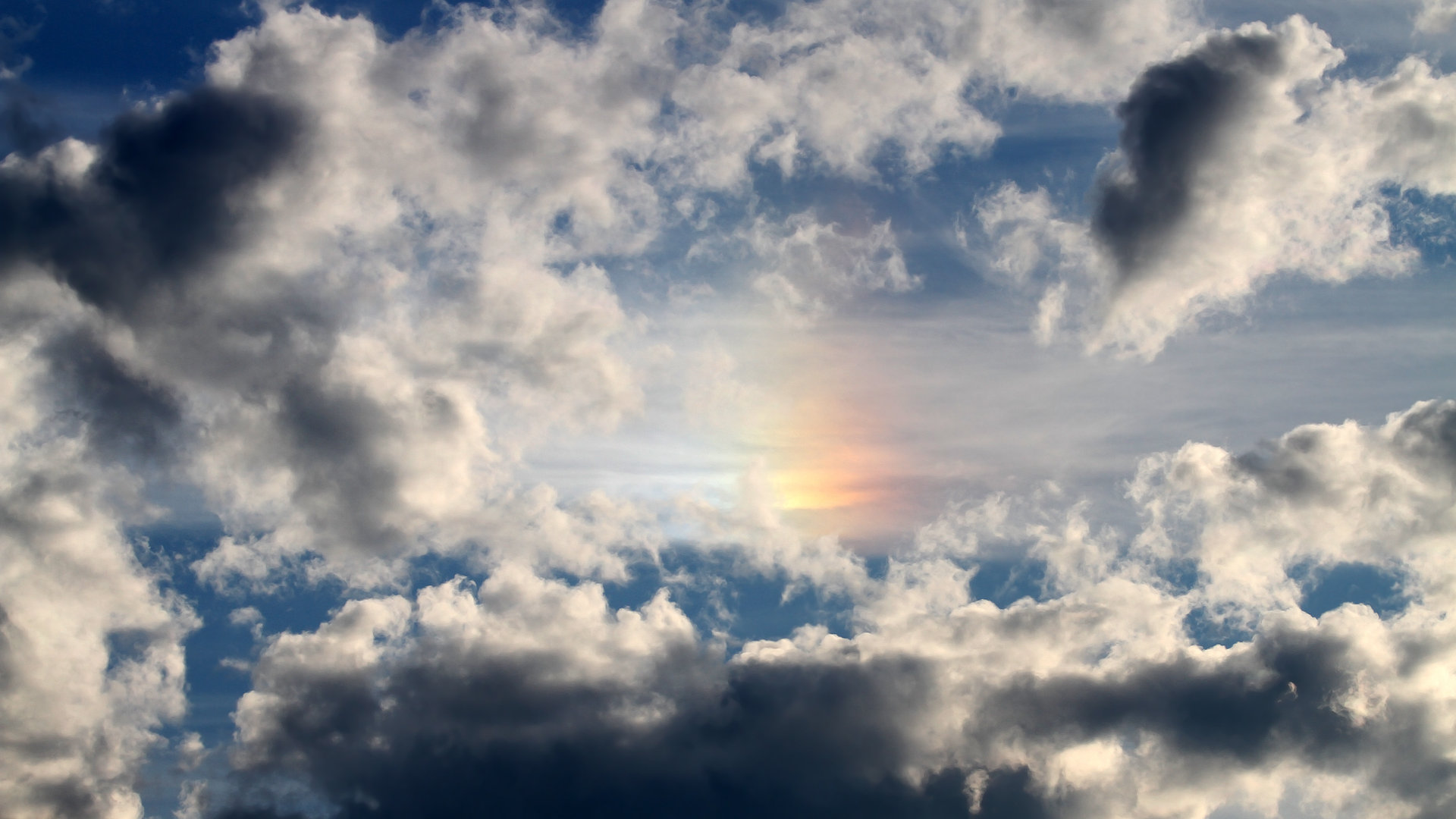 熊猫体育官网-日本队在亚洲区表现优异，有望夺冠