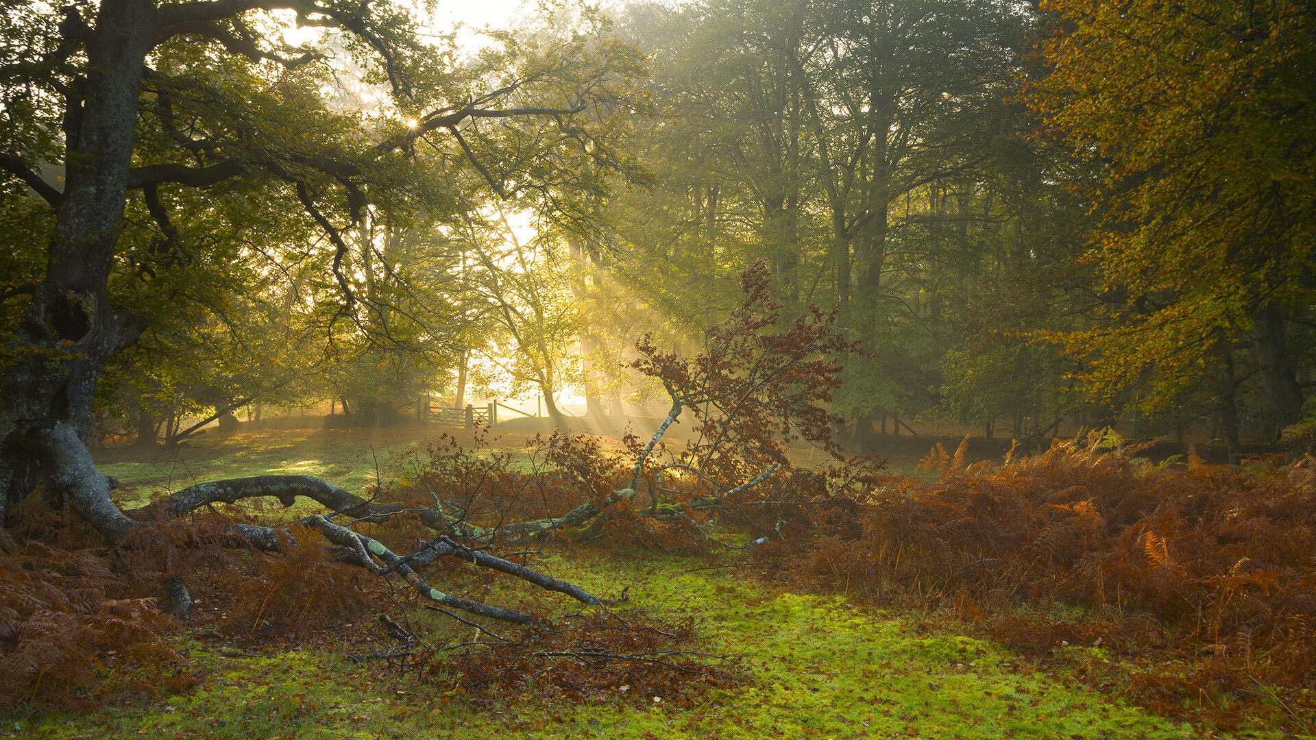 烟台篮球队在国际友谊赛中表现亮眼，展现新一代锋芒，篮球烟台赛区