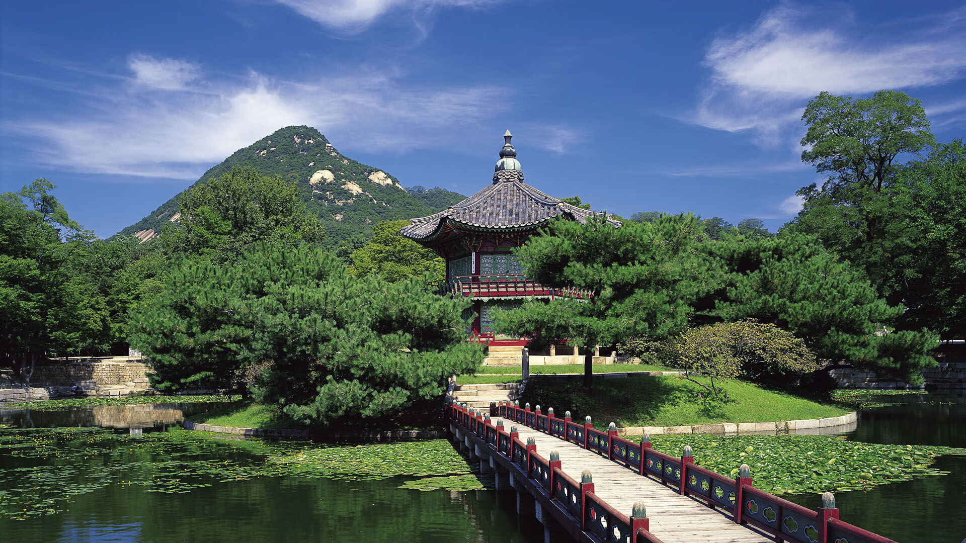 蛙泳比赛比利时女队表现亮眼,蛙泳比赛视频 高清2018