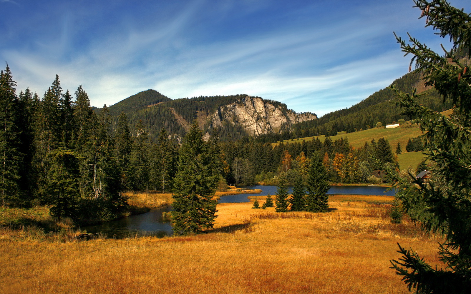 熊猫体育官网-西甲攻防豪门：精彩瞬间不断崛起！，西甲豪门球队排名